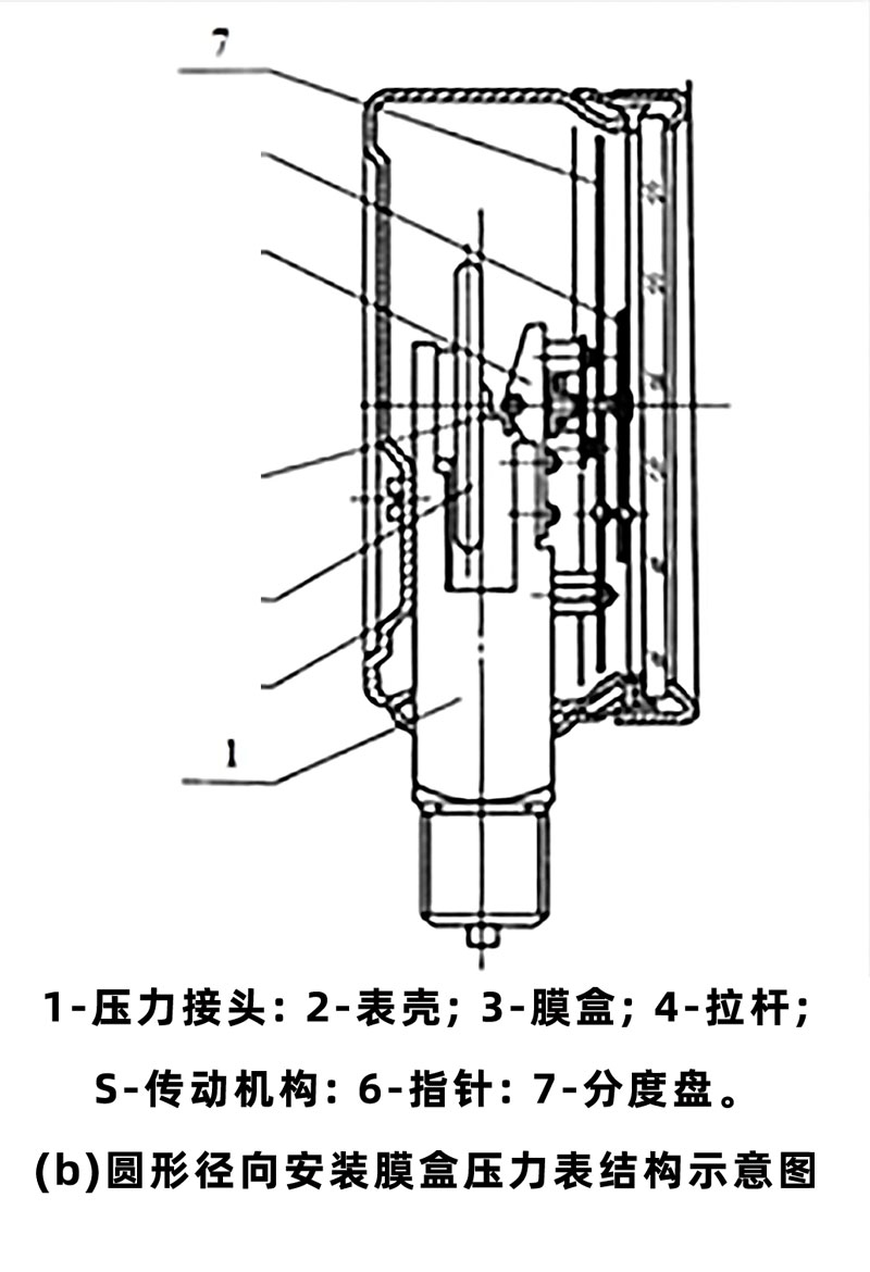 yuanxing.jpg